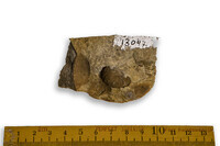 F 13047
<br/>
<br/>
<em></em>